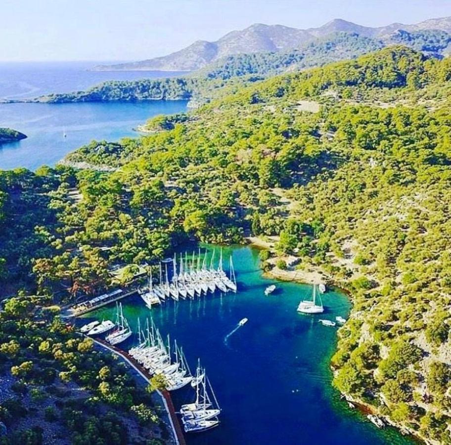 Green Forest Holiday Village Oludeniz Kültér fotó